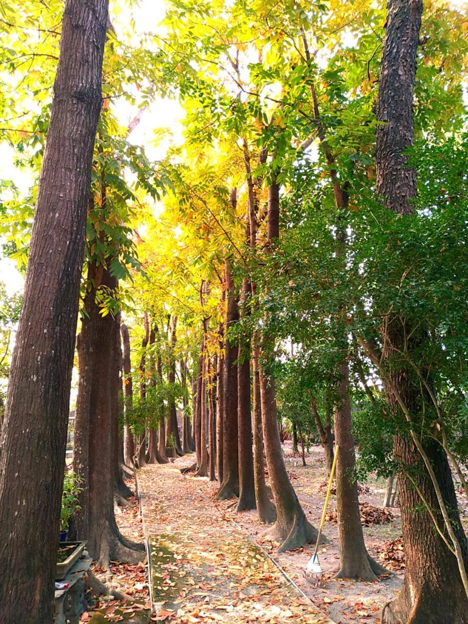 Meinong Yun Shanju Homestay Mei-nung Exterior foto